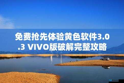 3.0.3 免费 vivo 版破解大全：涵盖众多热门应用的破解资源集合